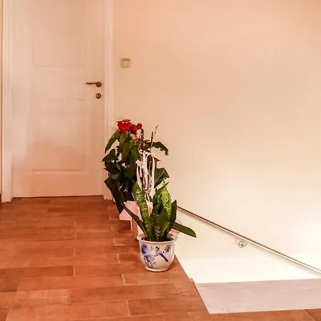 Lovely 2 Bedroom In Corfu Anemomilos Apartamento *